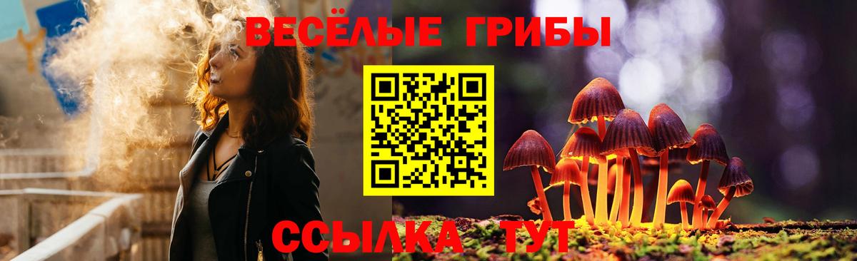 Псилоцибиновые грибы Cubensis Мыски